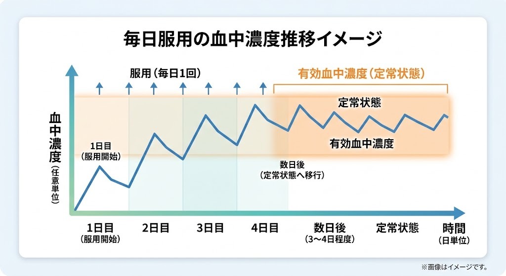 低用量タダラフィル（2.5mg/5mg）を毎日決まった時間に服用することで、有効成分が安定した定常状態に達する血中濃度の推移グラフ