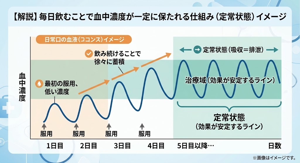 デイリータダラフィルを毎日服用した際の血中濃度の推移を表すグラフ。3〜5日目で成分の吸収と排泄のバランスが取れ、効果が安定する治療域（定常状態）に達する仕組みを解説。