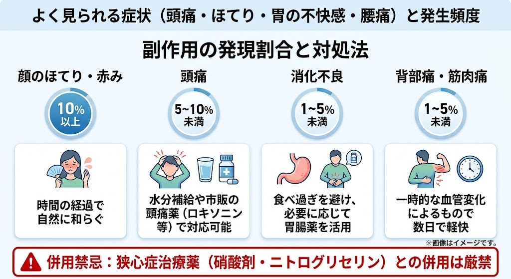 タダラフィルの主な副作用（ほてり・頭痛・消化不良）の発現割合と対処法