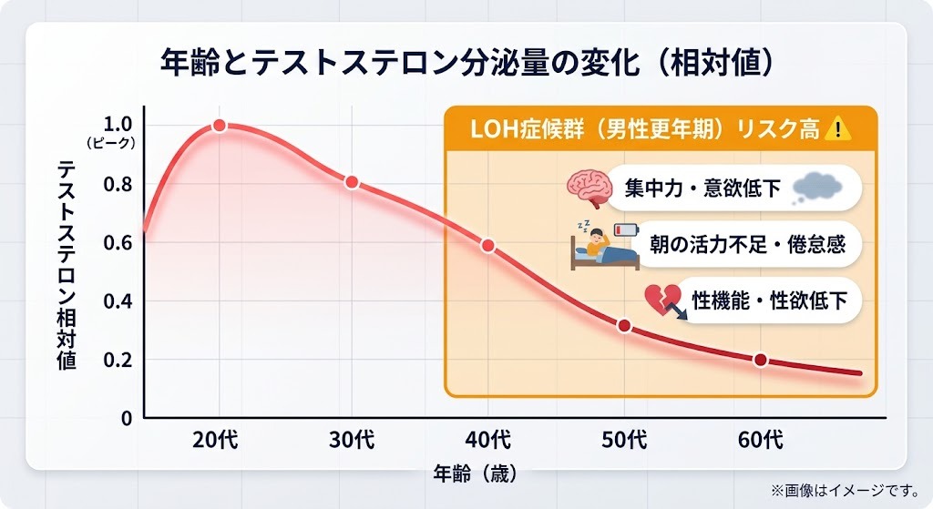 年齢に伴うテストステロン分泌量の低下とLOH症候群（男性更年期）の症状を示すグラフ