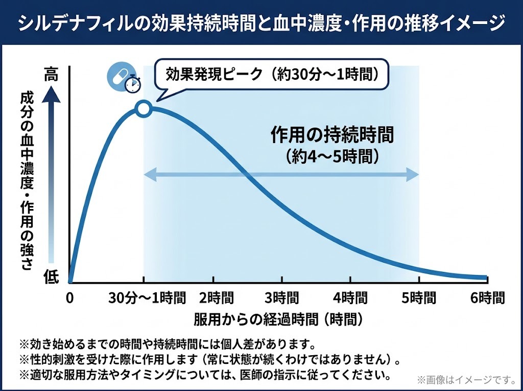 シルデナフィルの効果発現時間（約30分〜1時間）と作用持続時間（約4〜5時間）の推移グラフ