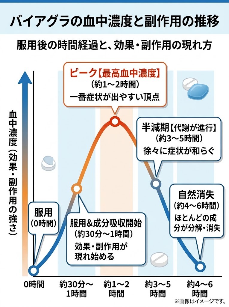 バイアグラ服用後の血中濃度推移と副作用が現れるピーク時間・持続時間（4〜6時間）の折れ線グラフ