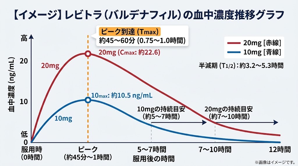 レビトラ10mgと20mgの最高血中濃度到達時間（Tmax）と持続時間を比較した血中濃度推移グラフ