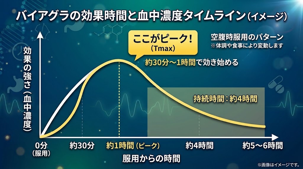 バイアグラ服用後の効果発現と最高血中濃度（Tmax）、約4時間の持続時間の推移グラフ